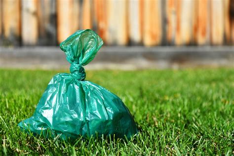 pet waste removal san anselmo|Top 10 Animal Removal Services in San Anselmo, CA 2023 .